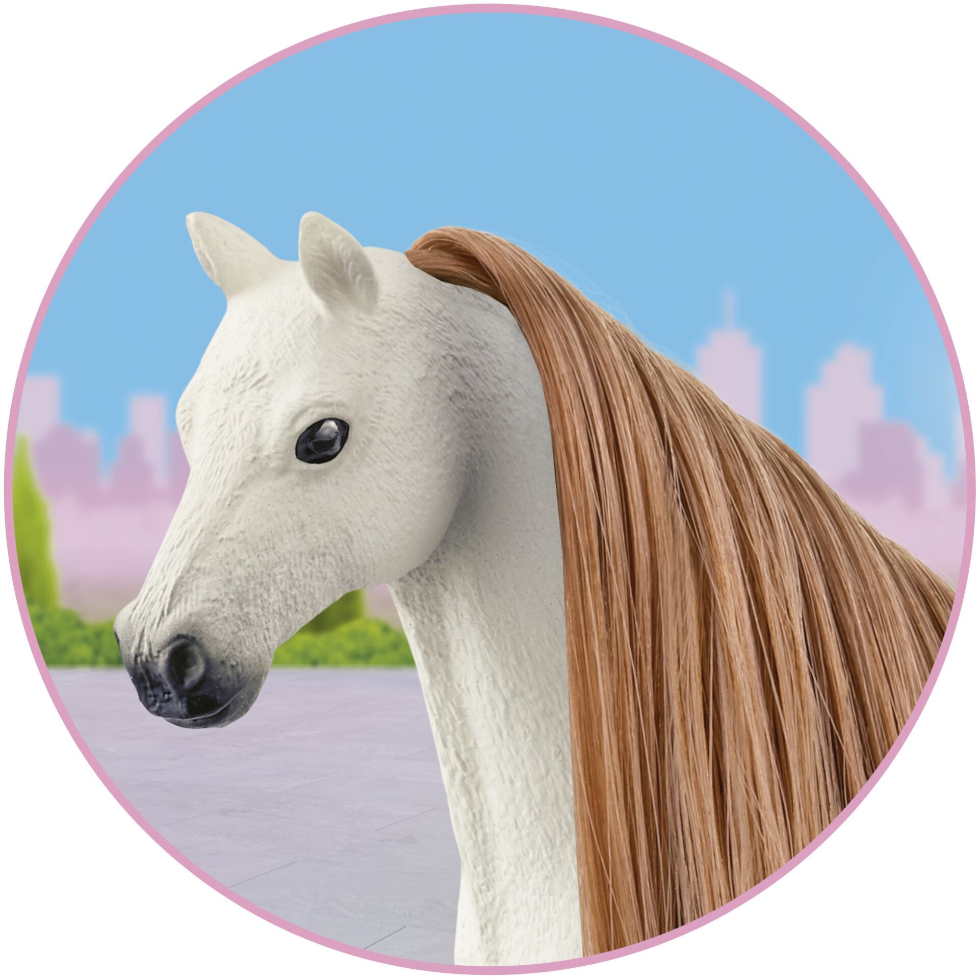 Tier, Colt Horse, Pferd, Säugetier