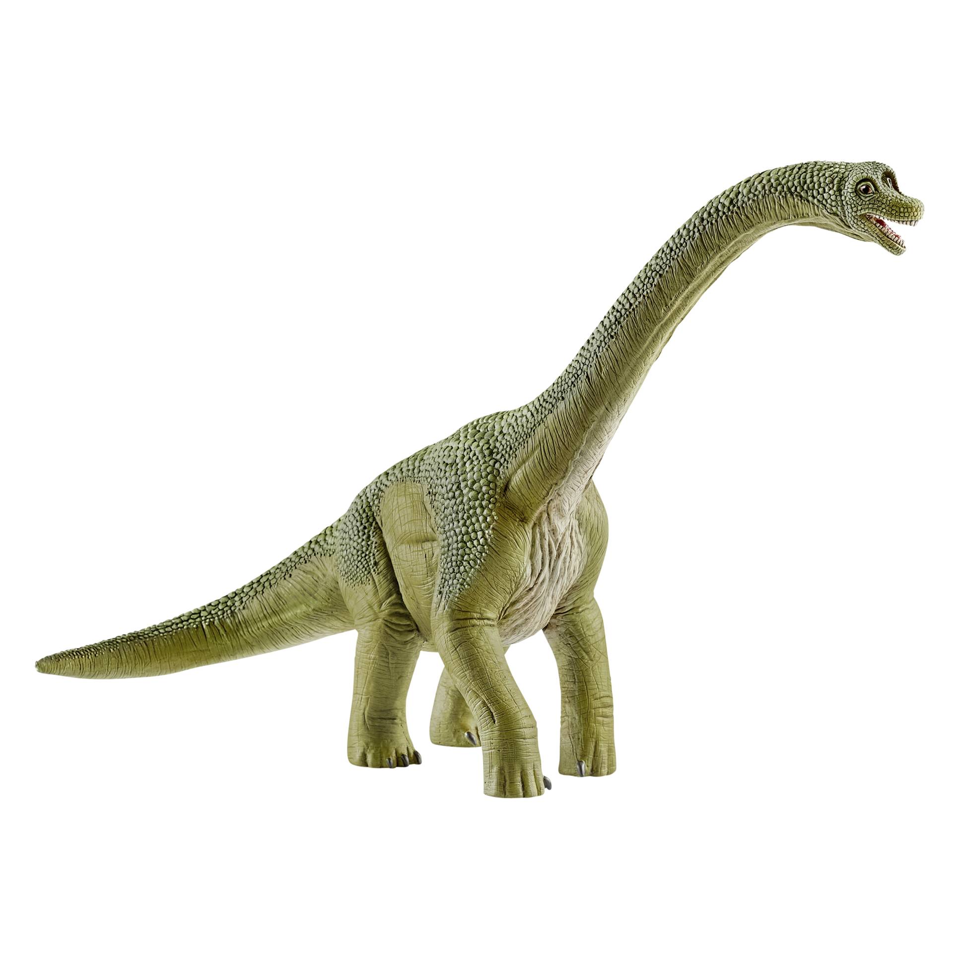Tier, Dinosaurier, Reptil, T-Rex