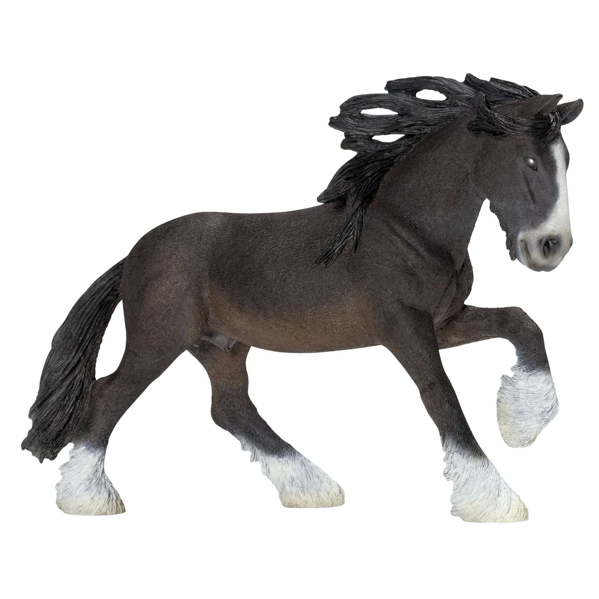Tier, Pferd, Säugetier, Andalusisches Pferd
