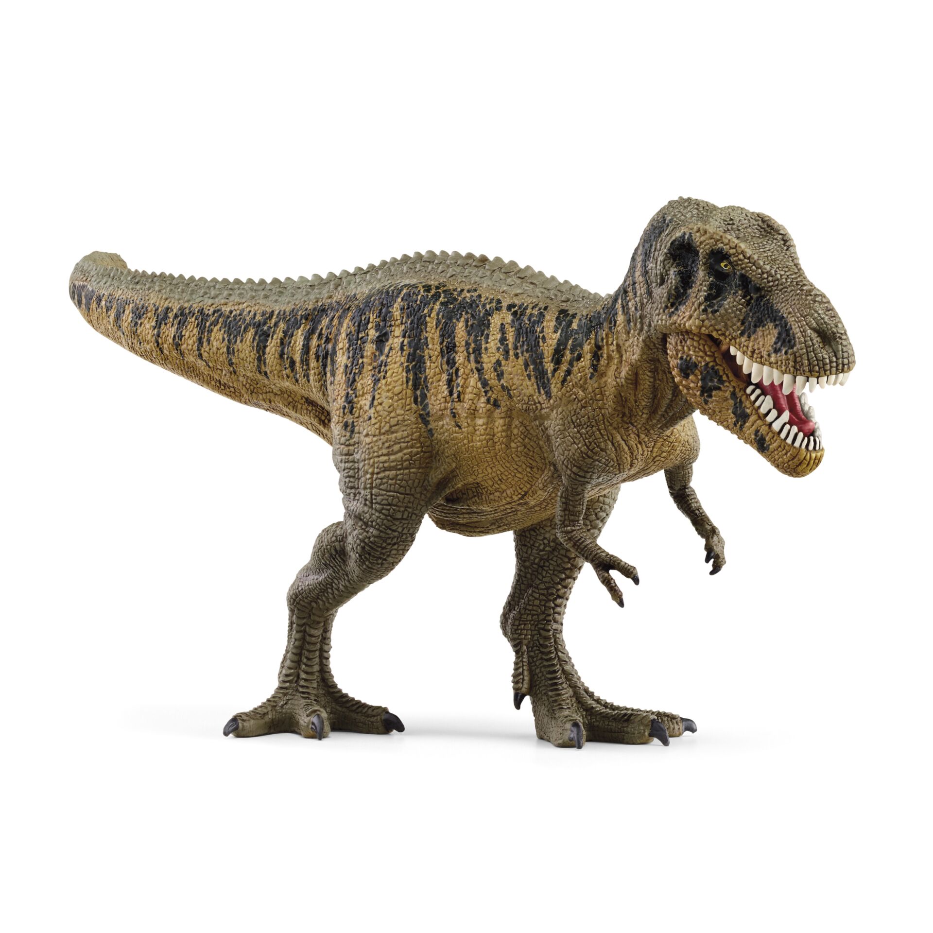 Tier, Dinosaurier, Reptil, T-Rex