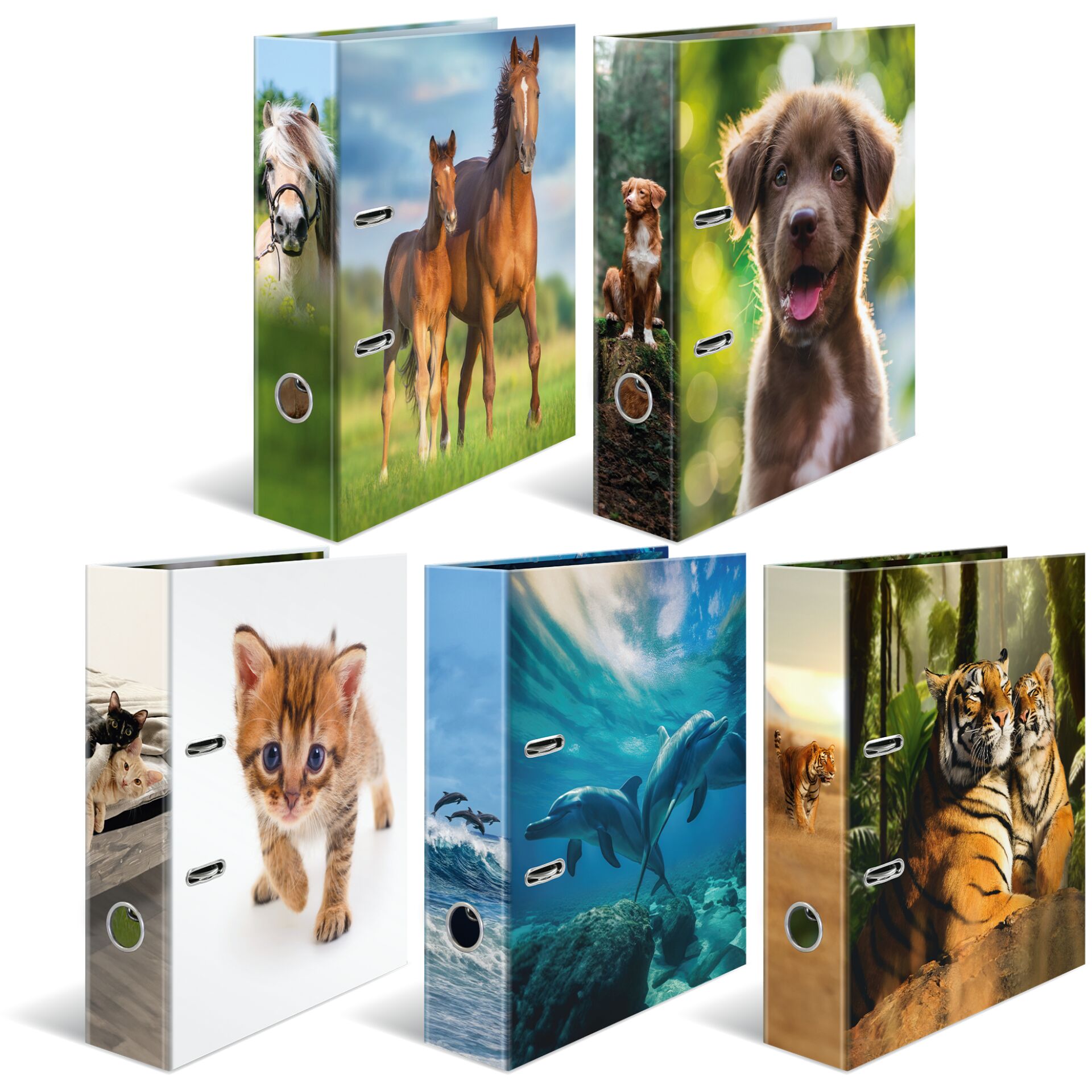 Halter, Pferde, Hund, Katzenbaby, Tiger