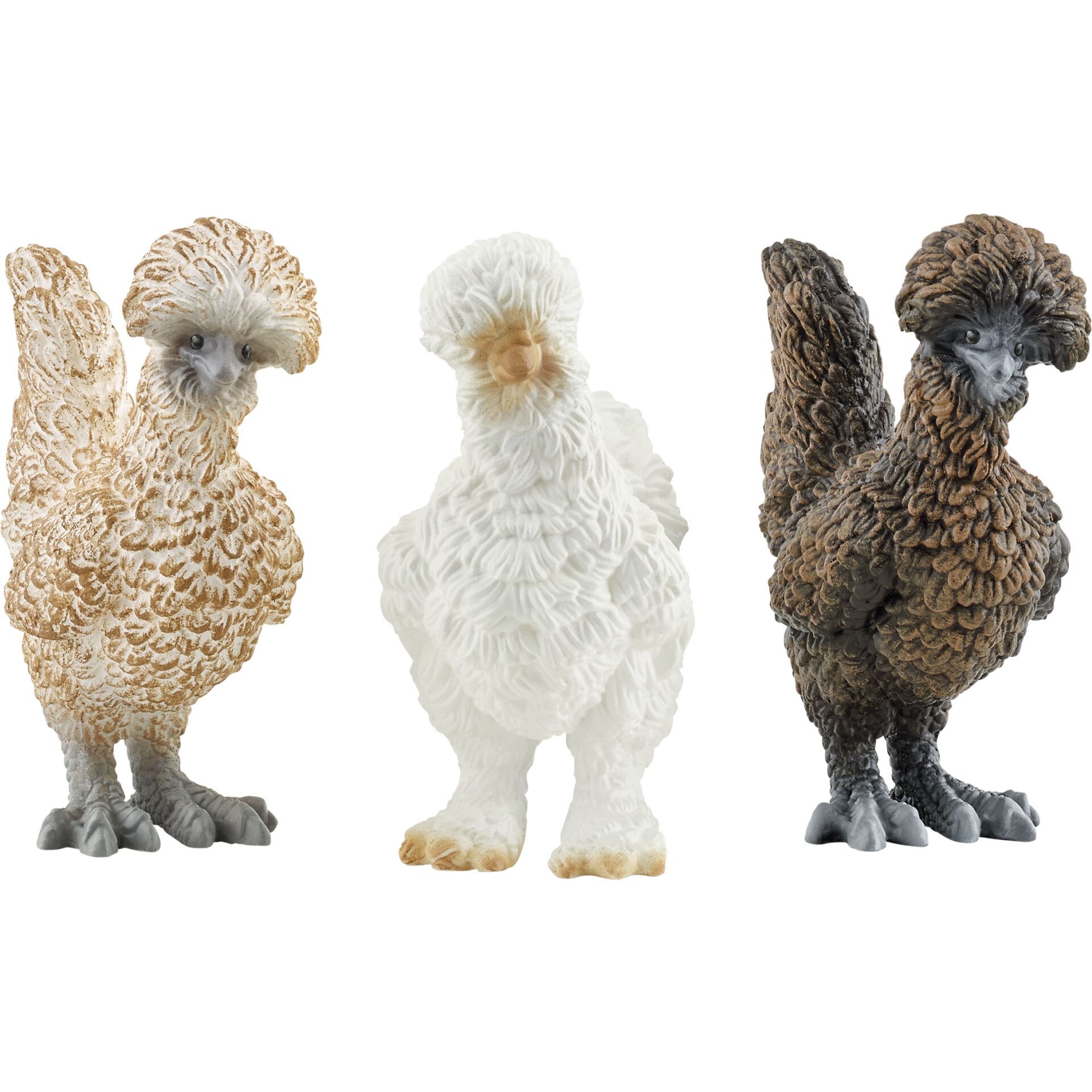 Tier, Vogel