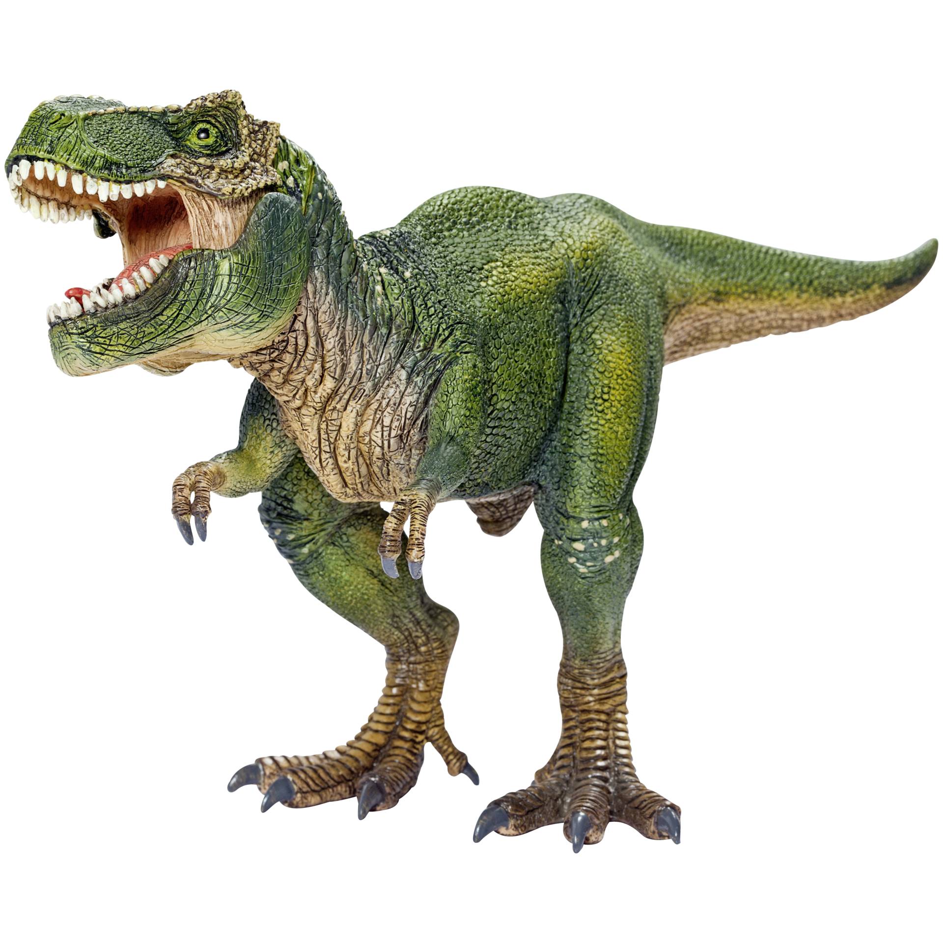 Tier, Dinosaurier, Reptil, T-Rex