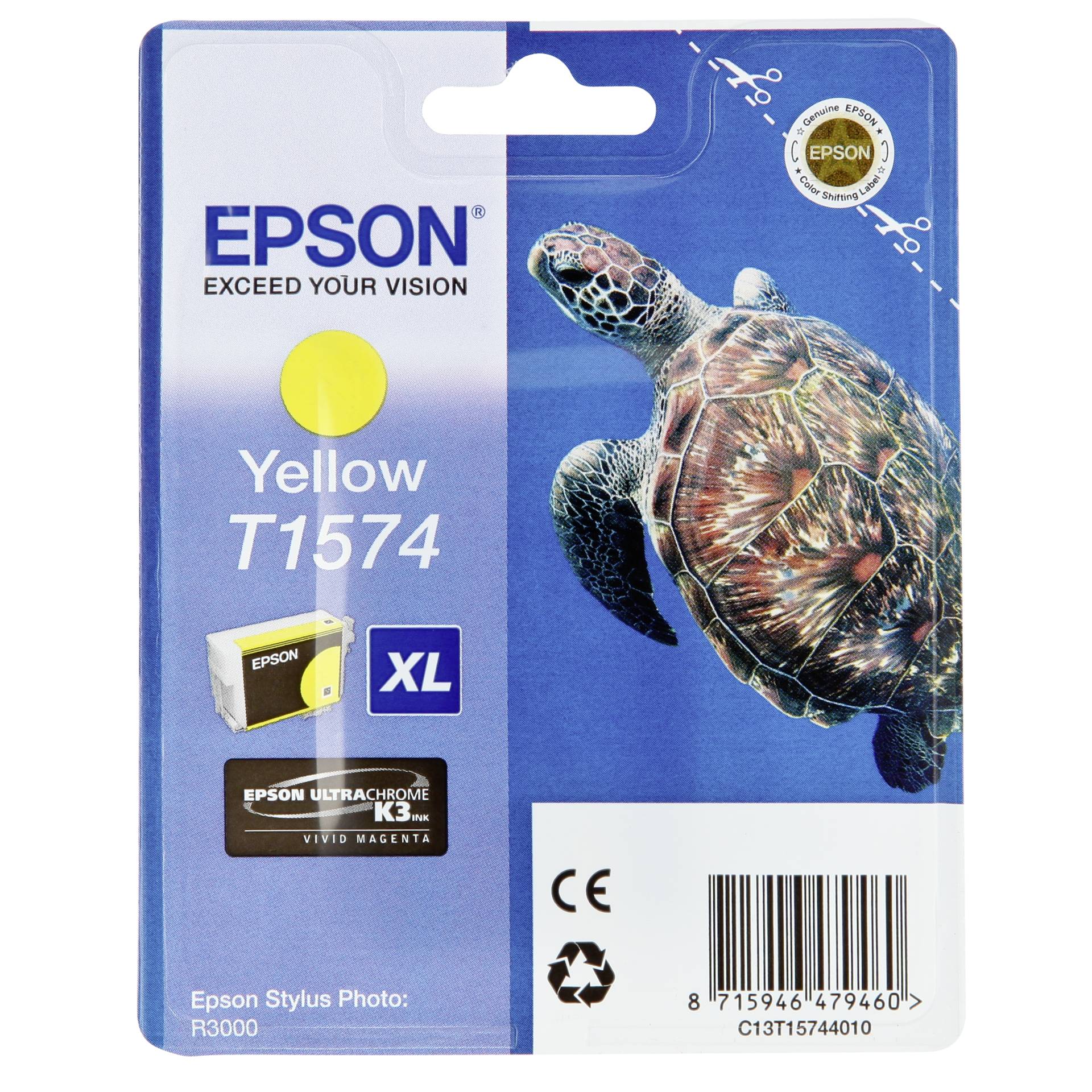 Tier, Reptil, Leben im Meer, Schildkröte