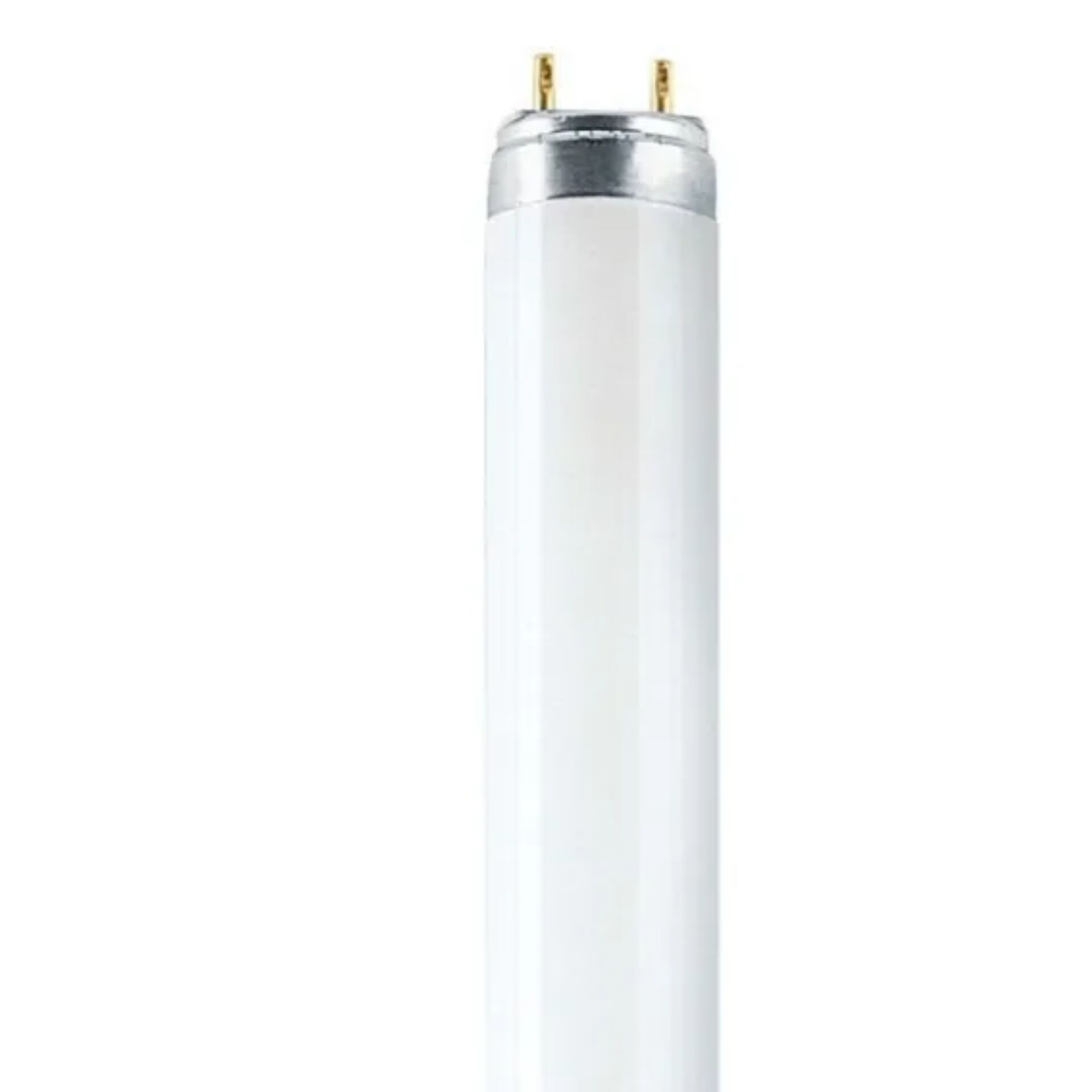 Flasche, Leuchtstoffröhre, Glasrohr, Weiß, Lichtquelle