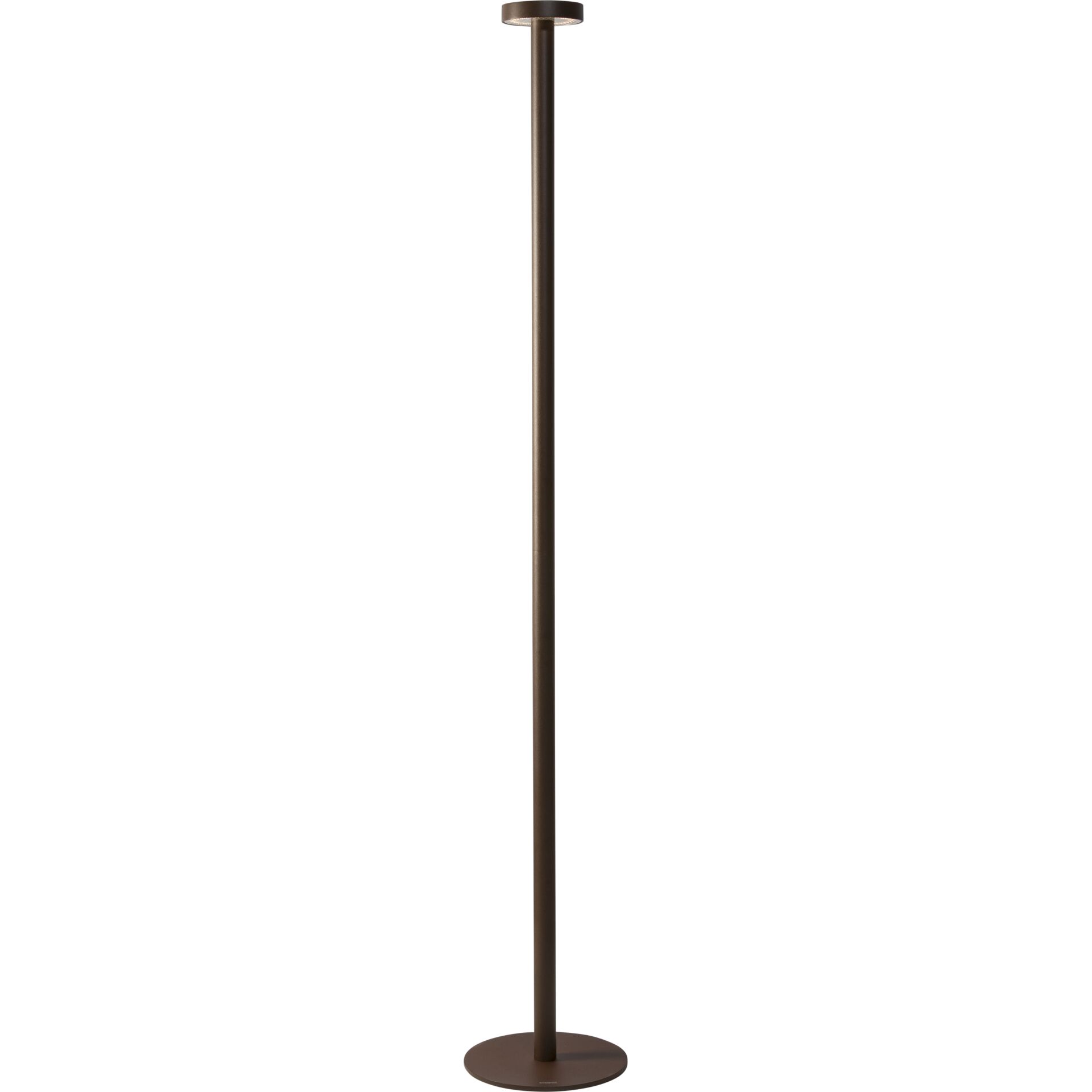 Lampe, Lampe