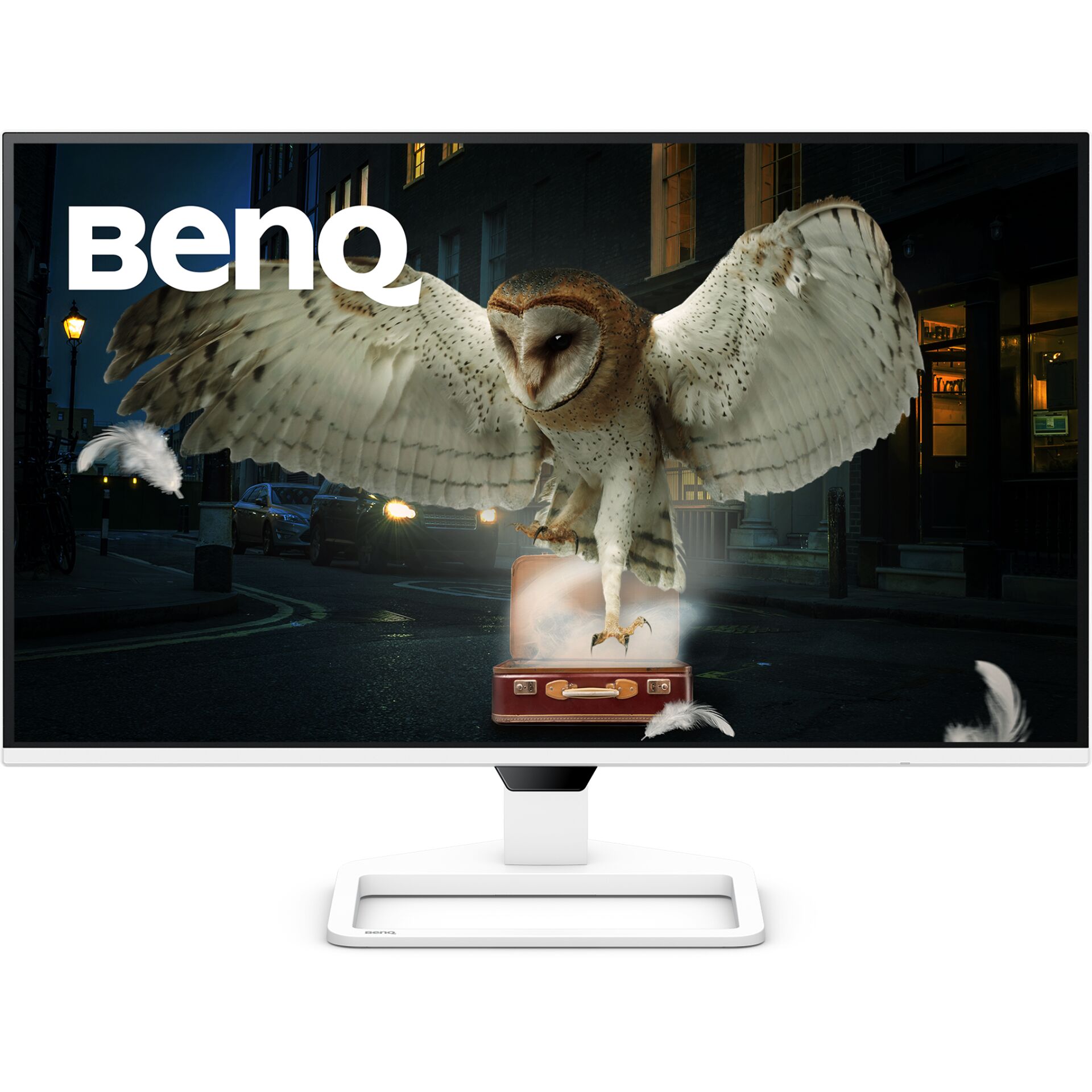 Monitor, Display, UHD, Eule, Flug
