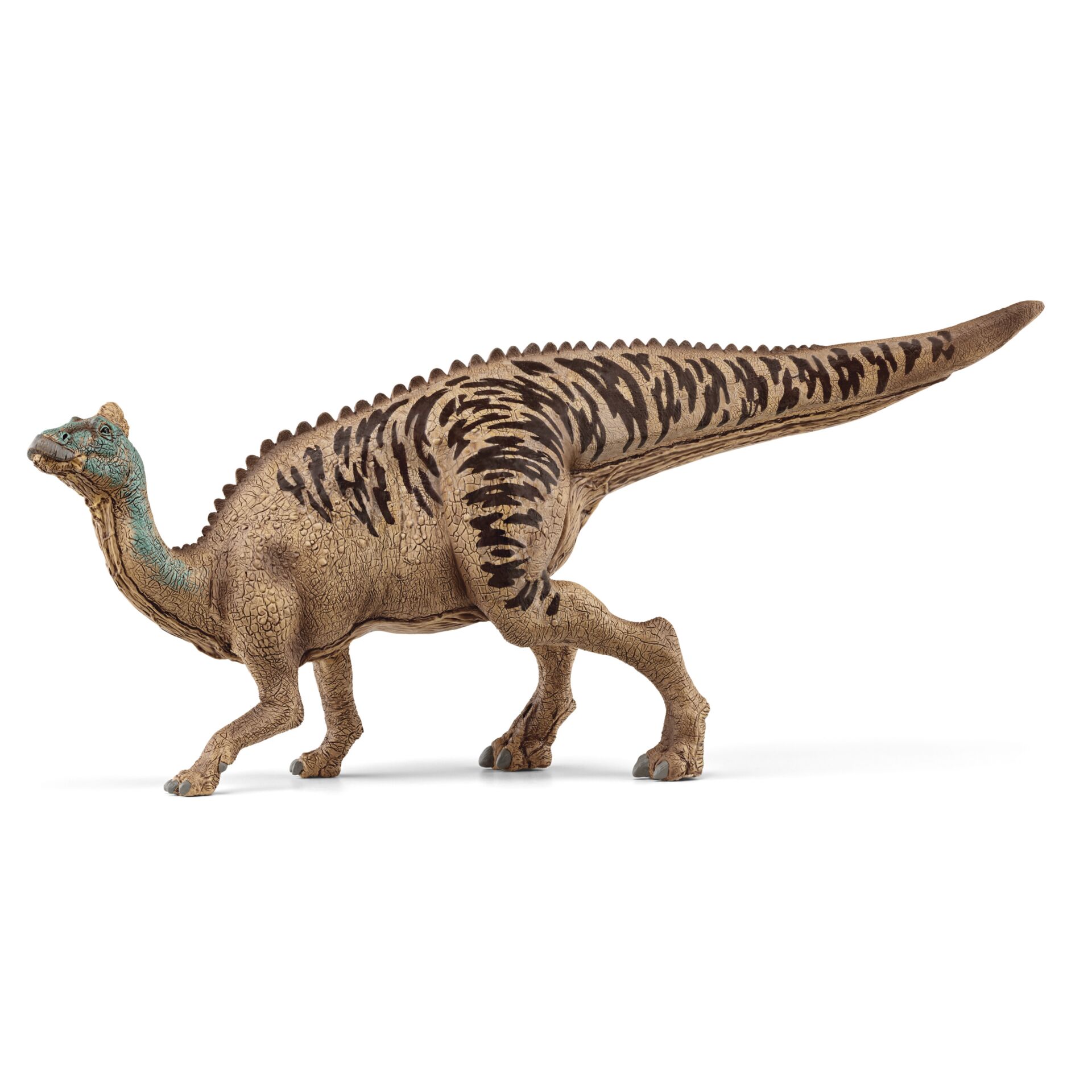 Tier, Dinosaurier, Reptil, T-Rex