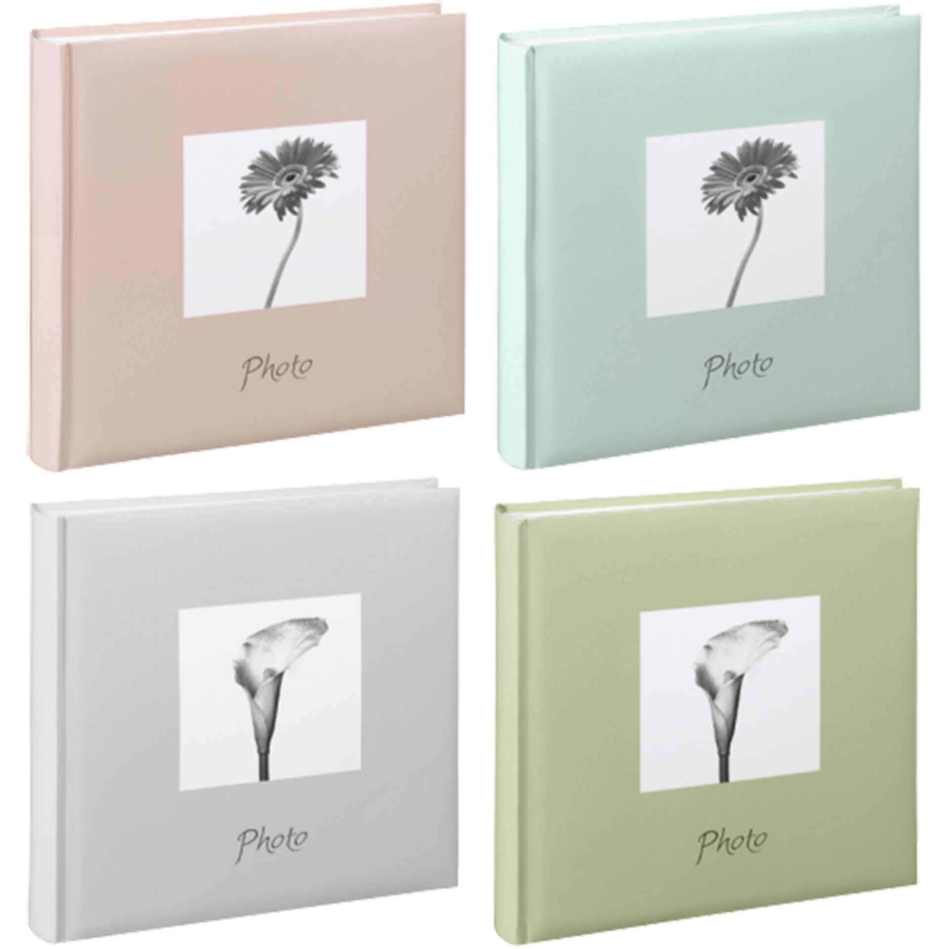 Blume, Pflanze