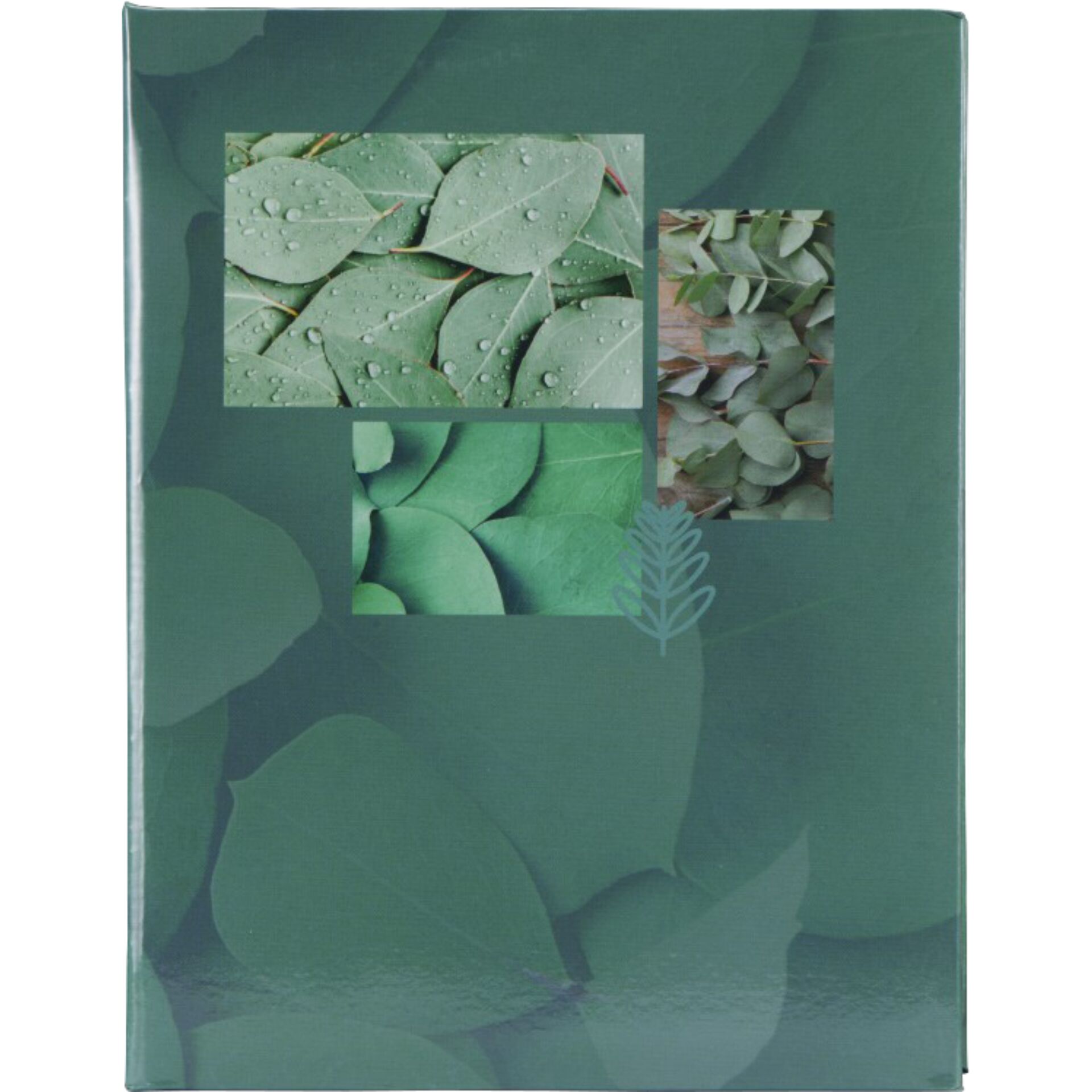 Blatt, Pflanze, Kräuterig, Collage, Papier
