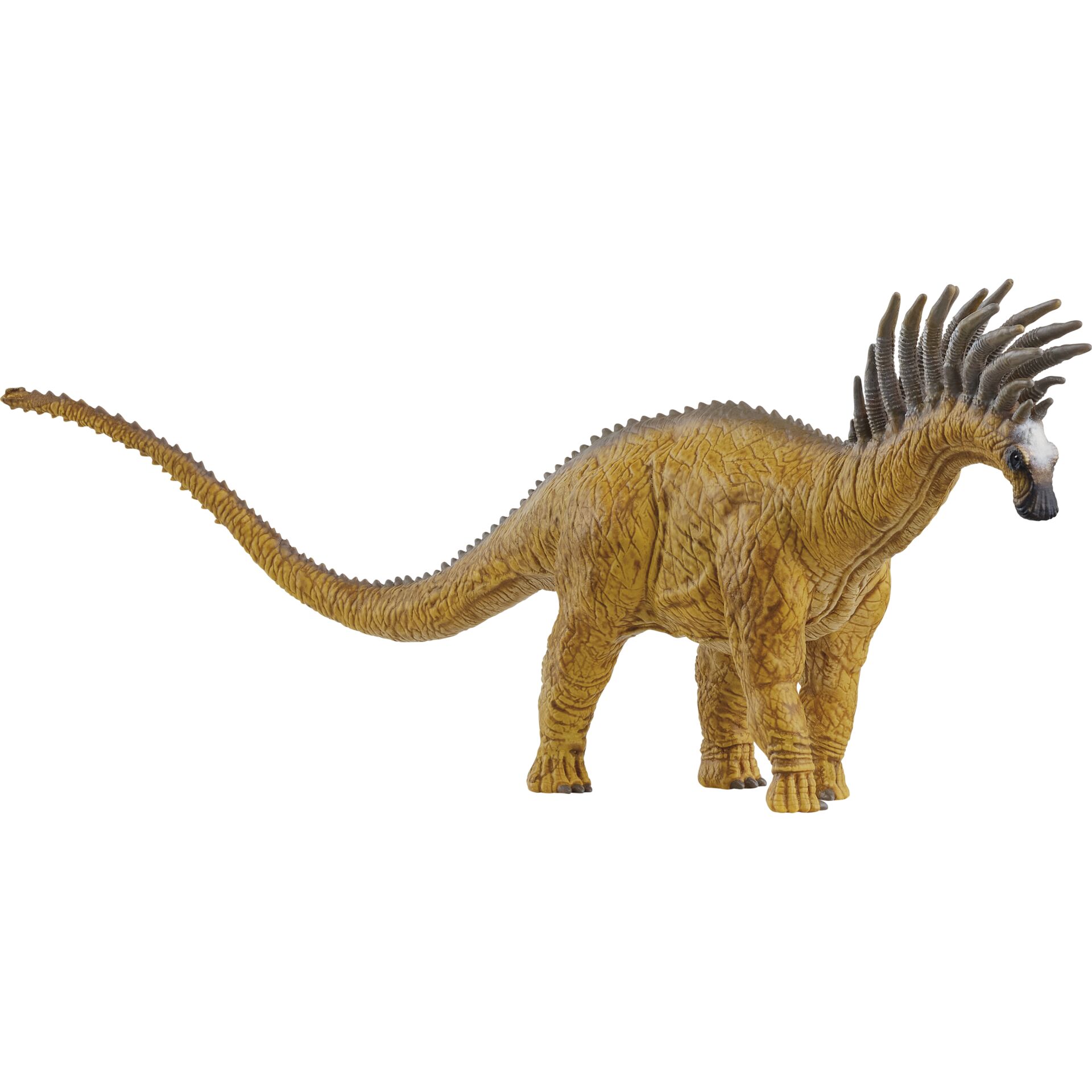 Tier, Dinosaurier, Reptil