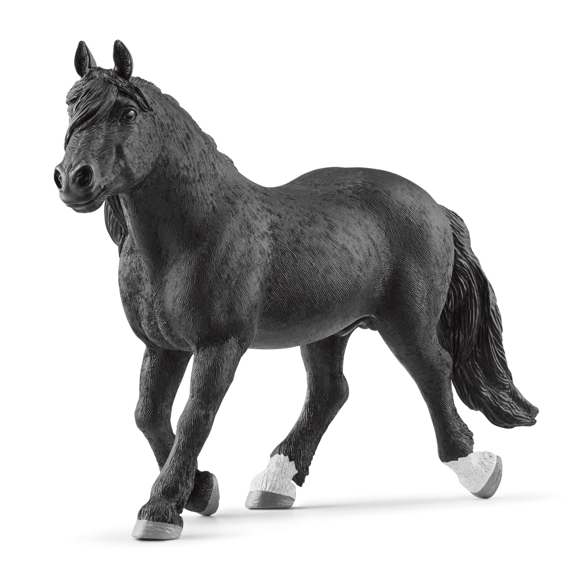 Andalusisches Pferd, Tier, Pferd, Säugetier