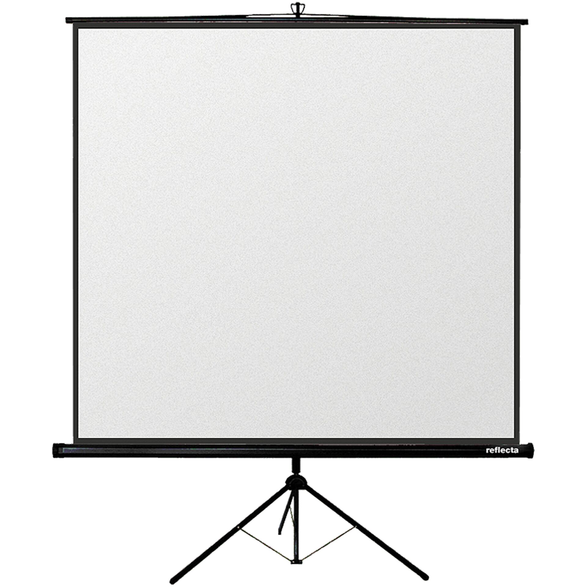 Elektronik, Bildschirm, Projektionsbildschirm, Weiße Tafel