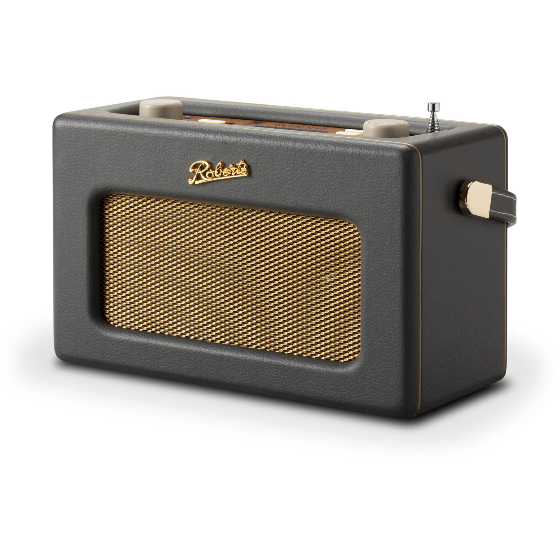 portabler Lautsprecher, Bluetooth-Lautsprecher, goldenes Netzgitter, schwarz Leder, kompakt