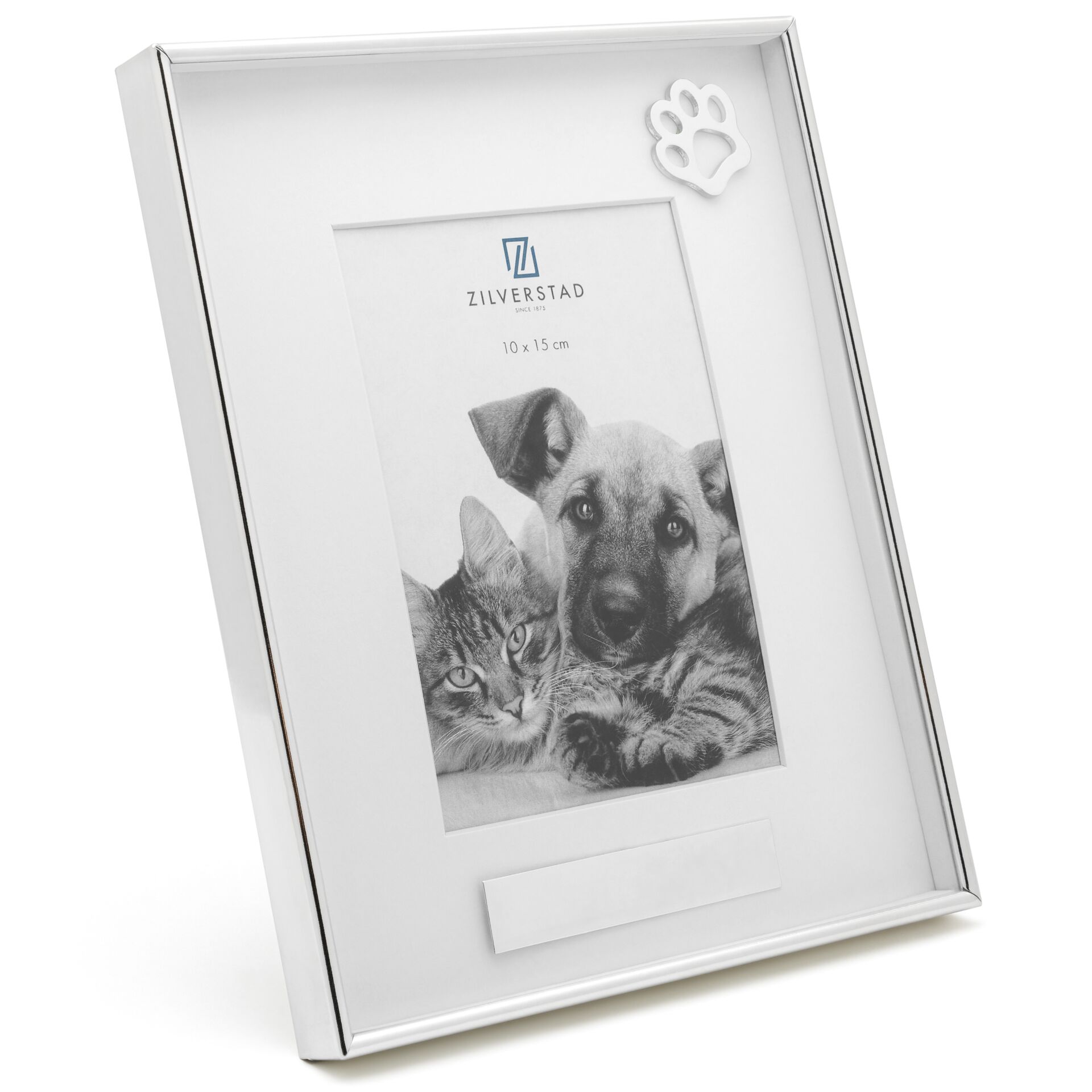 Hund, Säugetier, Haustier, Katze