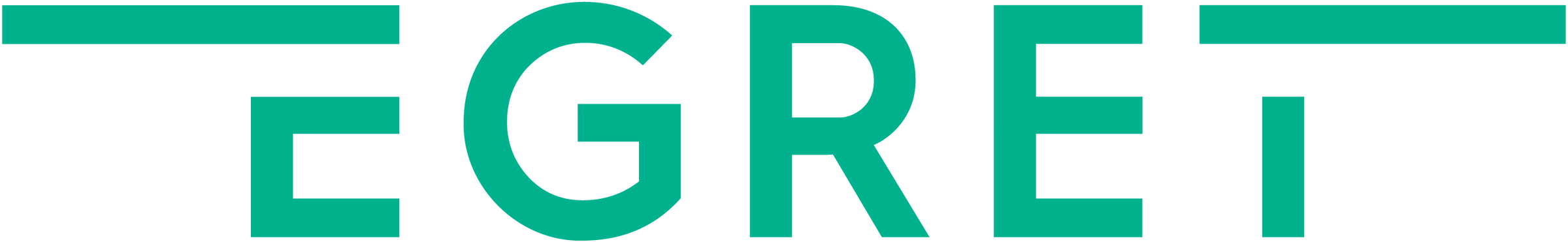 Logo, Grünes Logo, Teal, Wortmarke, EGRET
