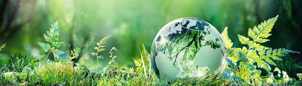 Globus, Weltkugel, Umwelt, Grüne Landschaft, Globus mit Baumkonstruktion