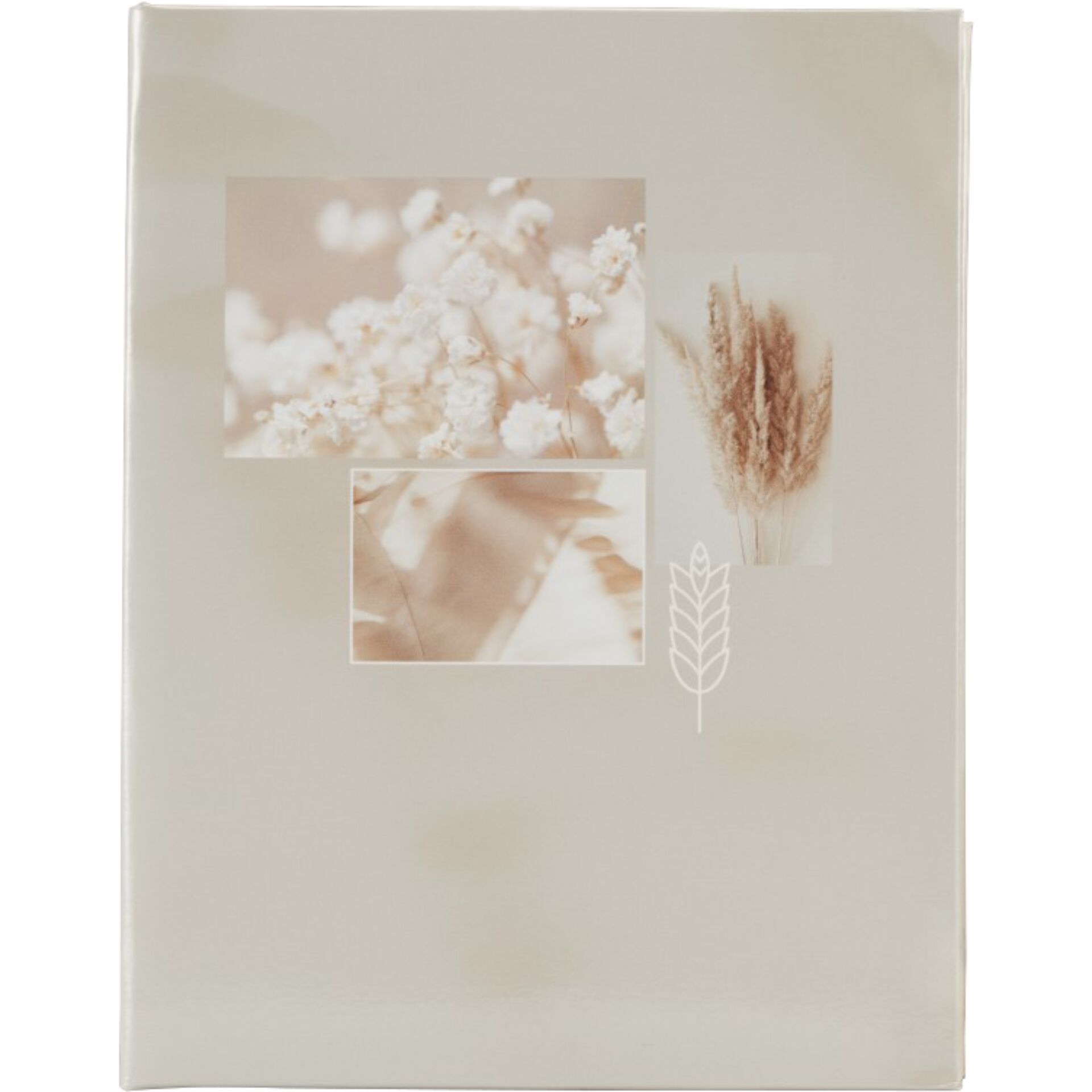Blume, Pflanze