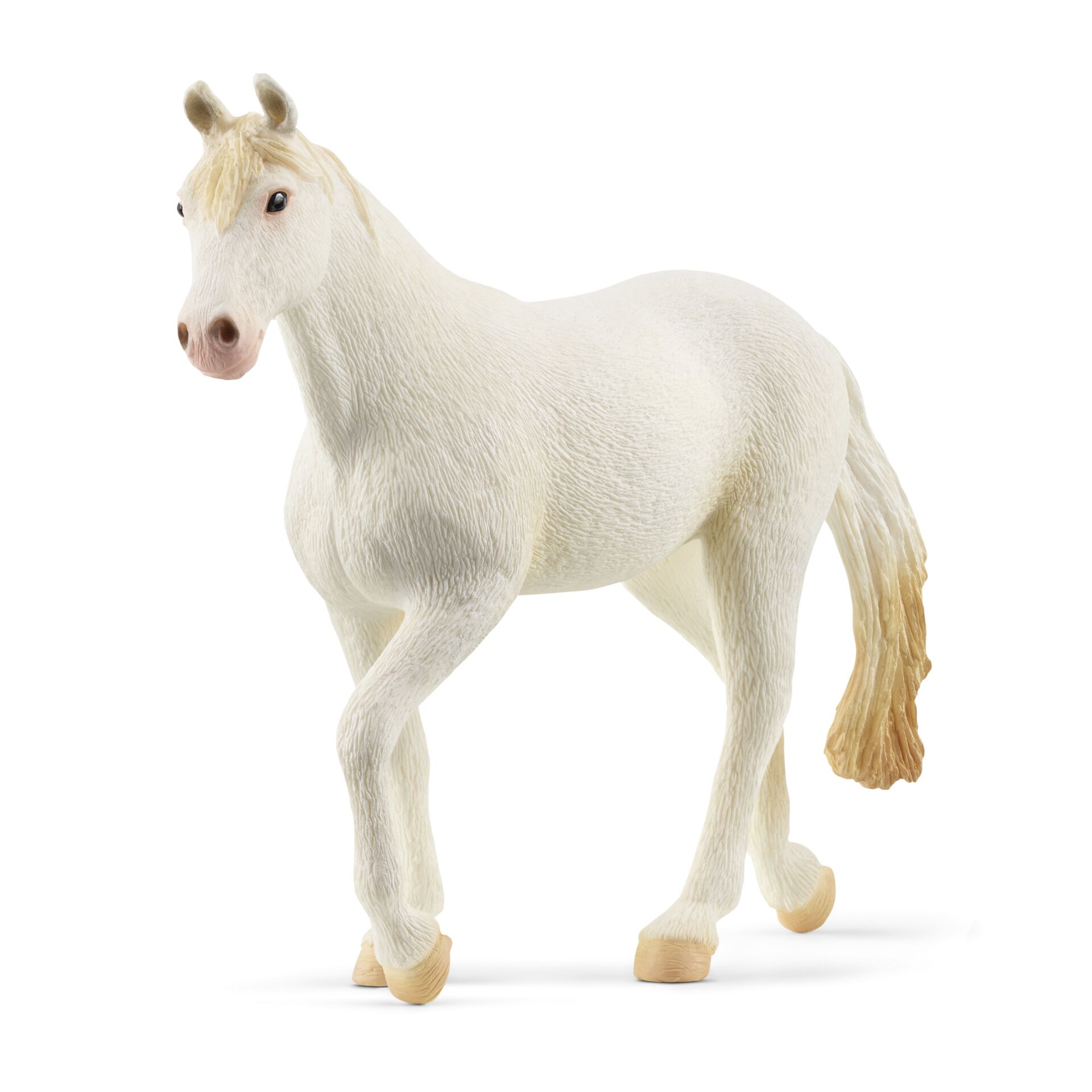 Tier, Pferd, Säugetier, Colt Horse