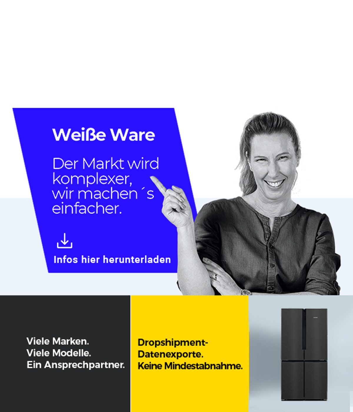 Werbeplakat, Kühlschrank, Haushaltsgerät, Dreifarbig, Moderne Werbung