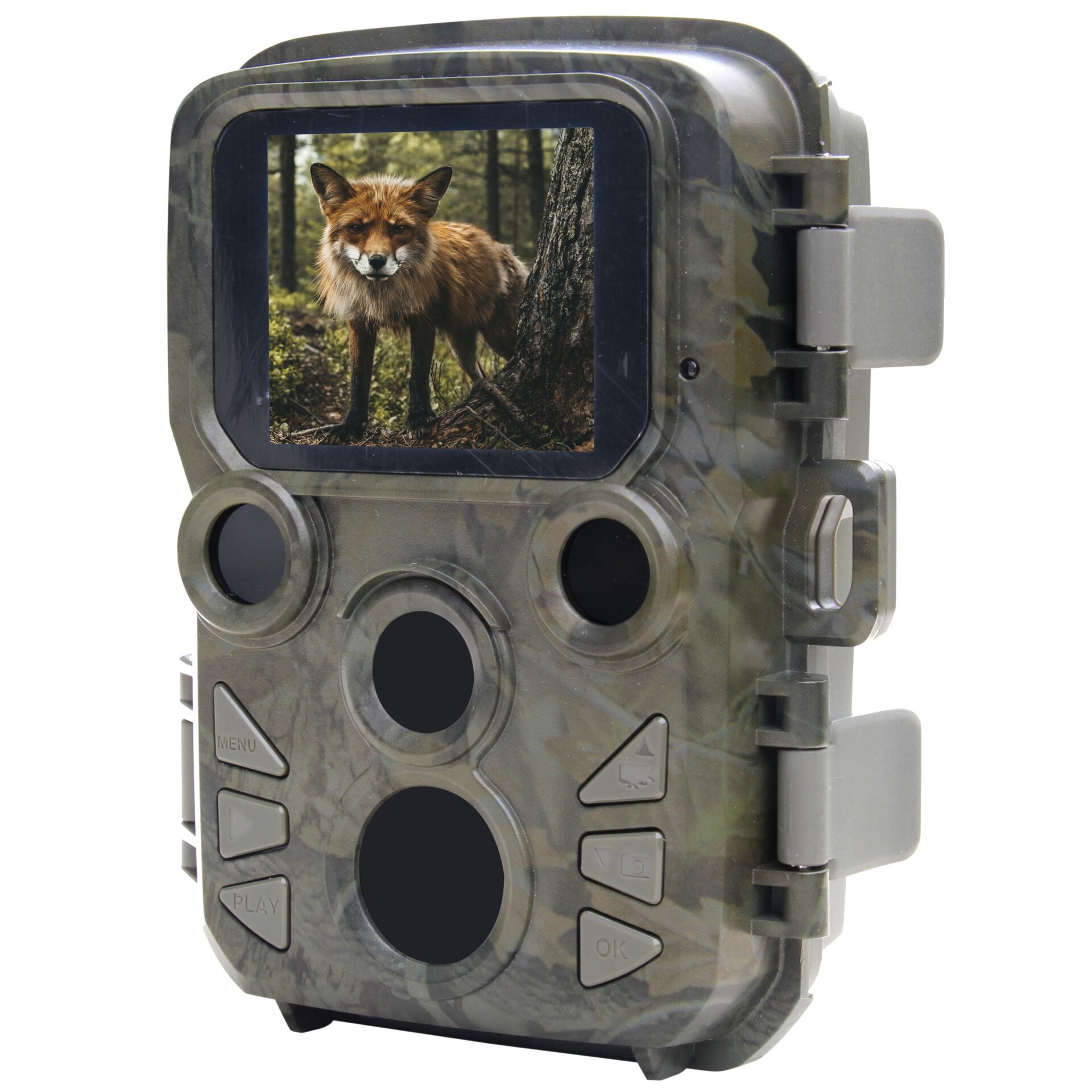 Hund, Säugetier, Haustier, Elektronik, Videokamera