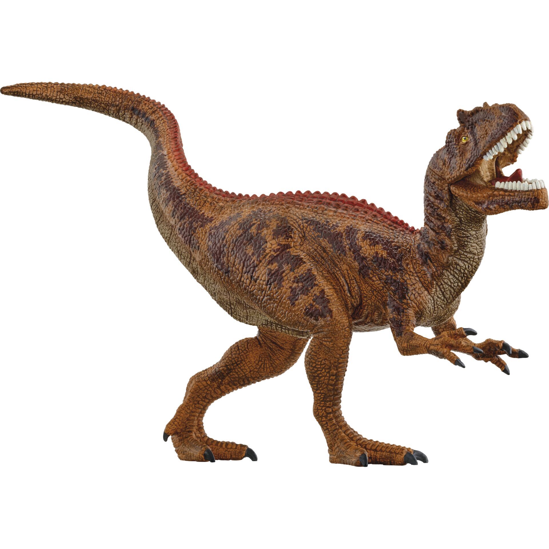 Tier, Dinosaurier, Reptil, T-Rex