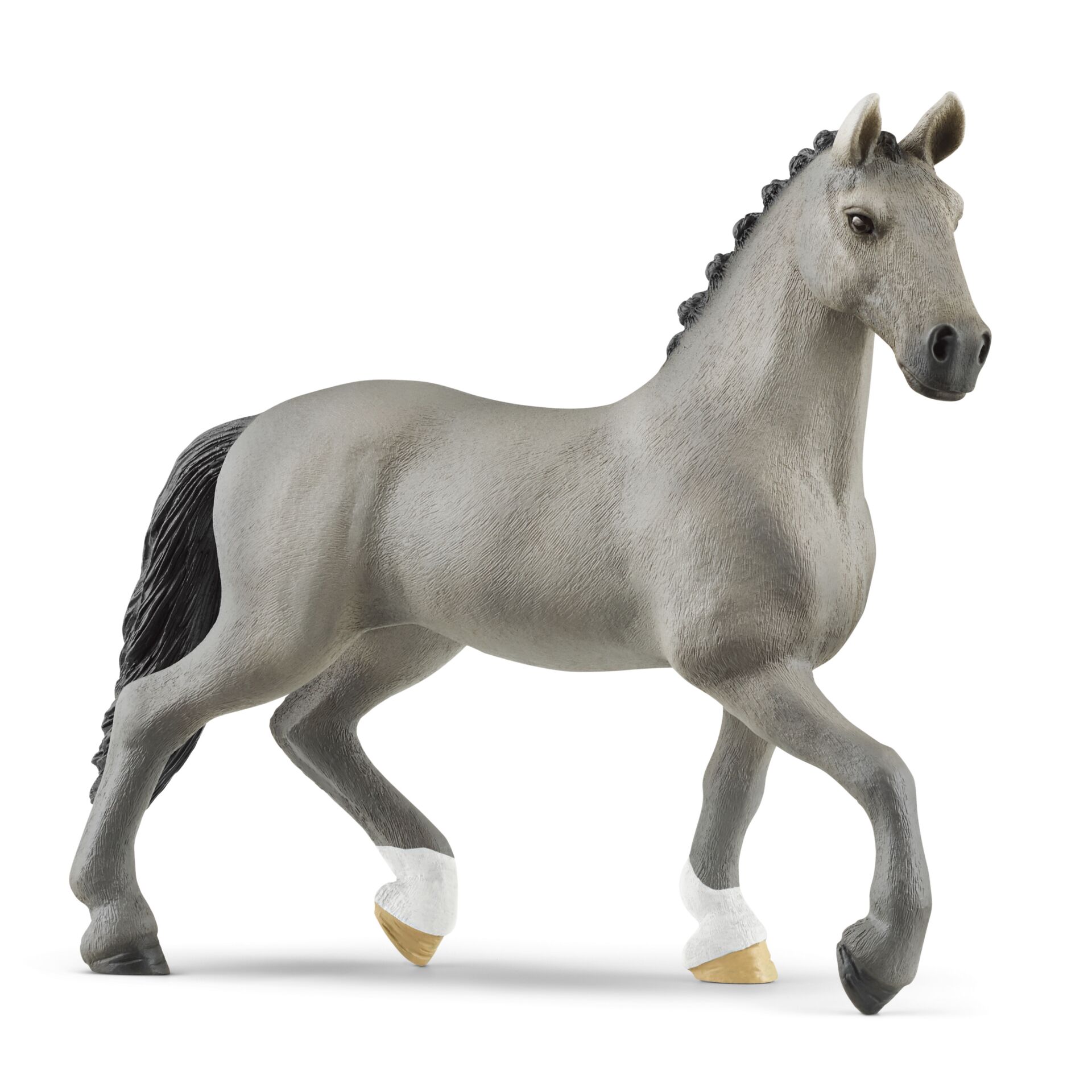 Tier, Pferd, Säugetier, Andalusisches Pferd