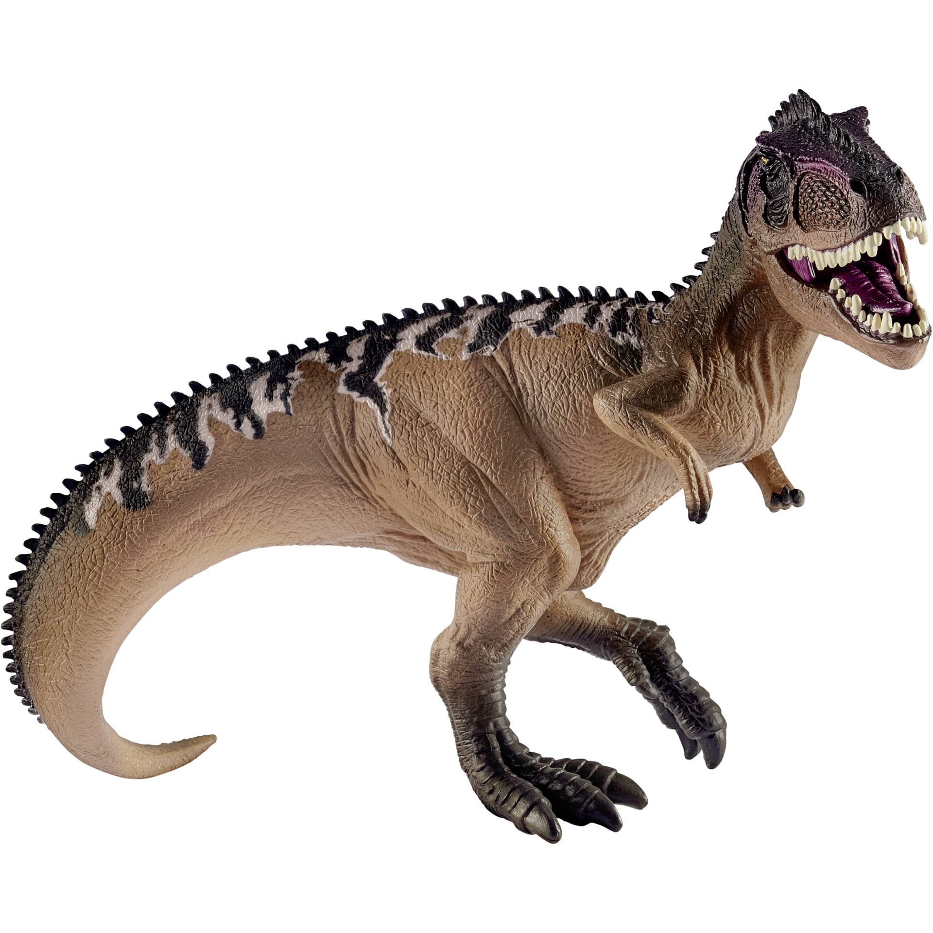 Tier, Dinosaurier, Reptil, T-Rex